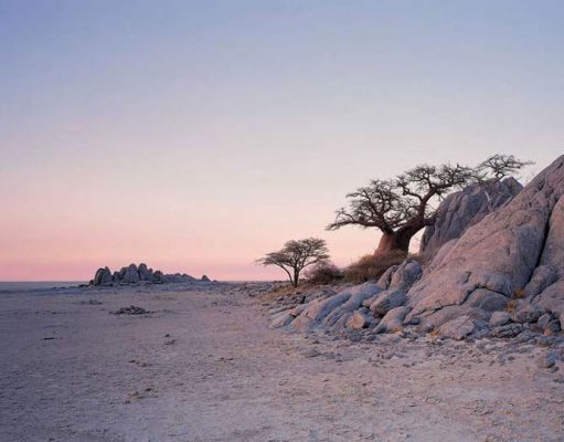 Makgadikgadi Pans