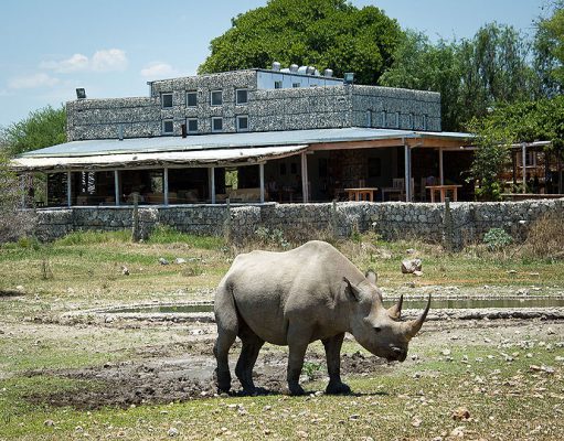 Anderssons Camp gallery