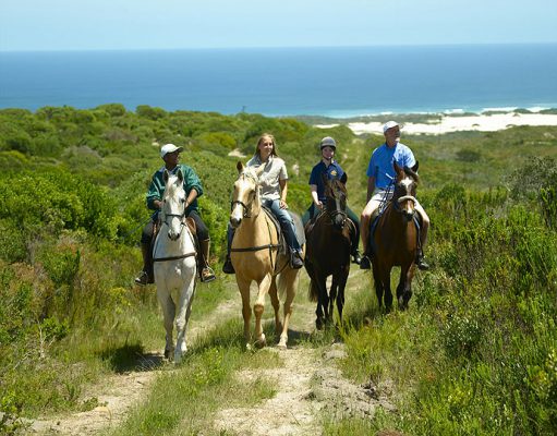 Grootbos gallery