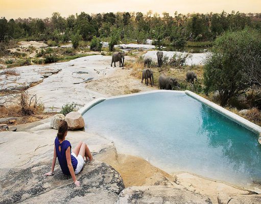 Madikwe & Kruger gallery