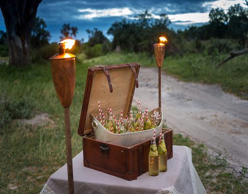 Luxury African Safari Holidays gallery