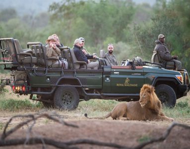 Royal Malewane - The Luxury Safari Company