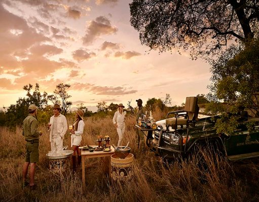 ROYAL MALEWANE AFRICA HOUSE Thornybush Private Game Reserve