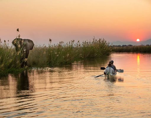 Tembo Plains Camp safari camps