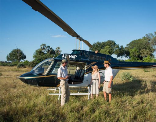 Luxury Helicopter Safaris gallery