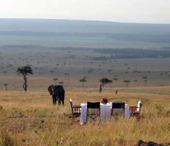 Nyasi Migrational Camp, Serengeti National Park, Tanzania