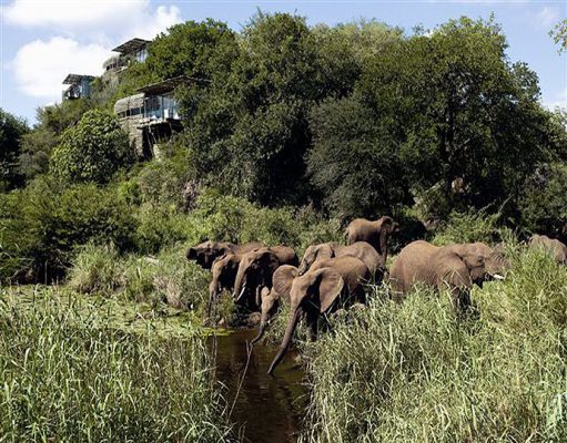 Singita Lebombo gallery