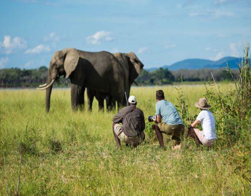 Asilia Kenya & Tanzania safari camps